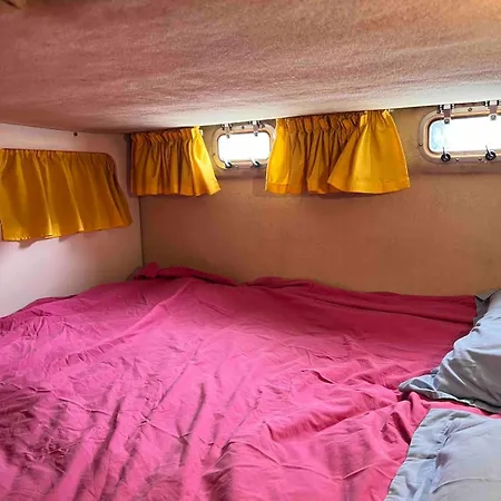 船屋 Boat Cannes Festival Mandelieu